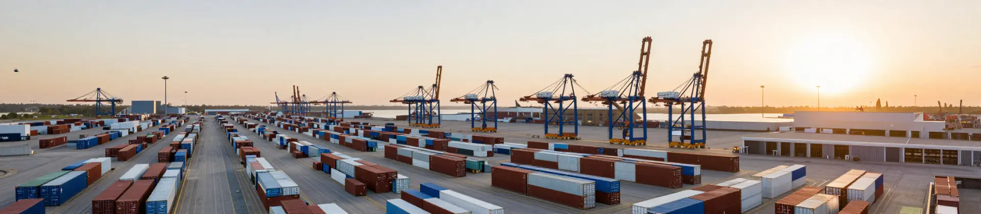 International port and pharmaceutical import logistics
